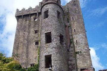100195_Dublin_Blarney Castle_d503-21